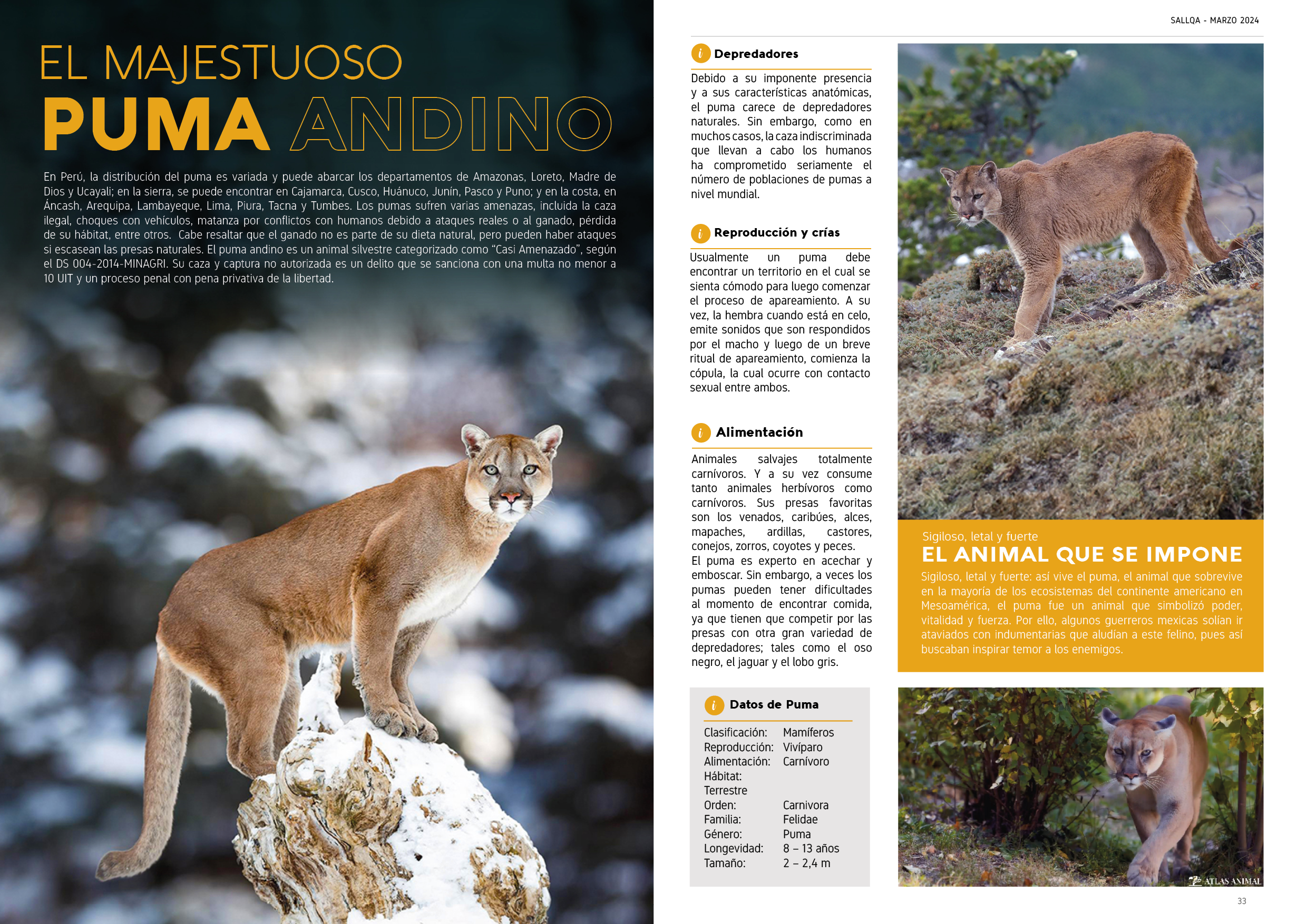 Proyecto Editorial Digital - Idat