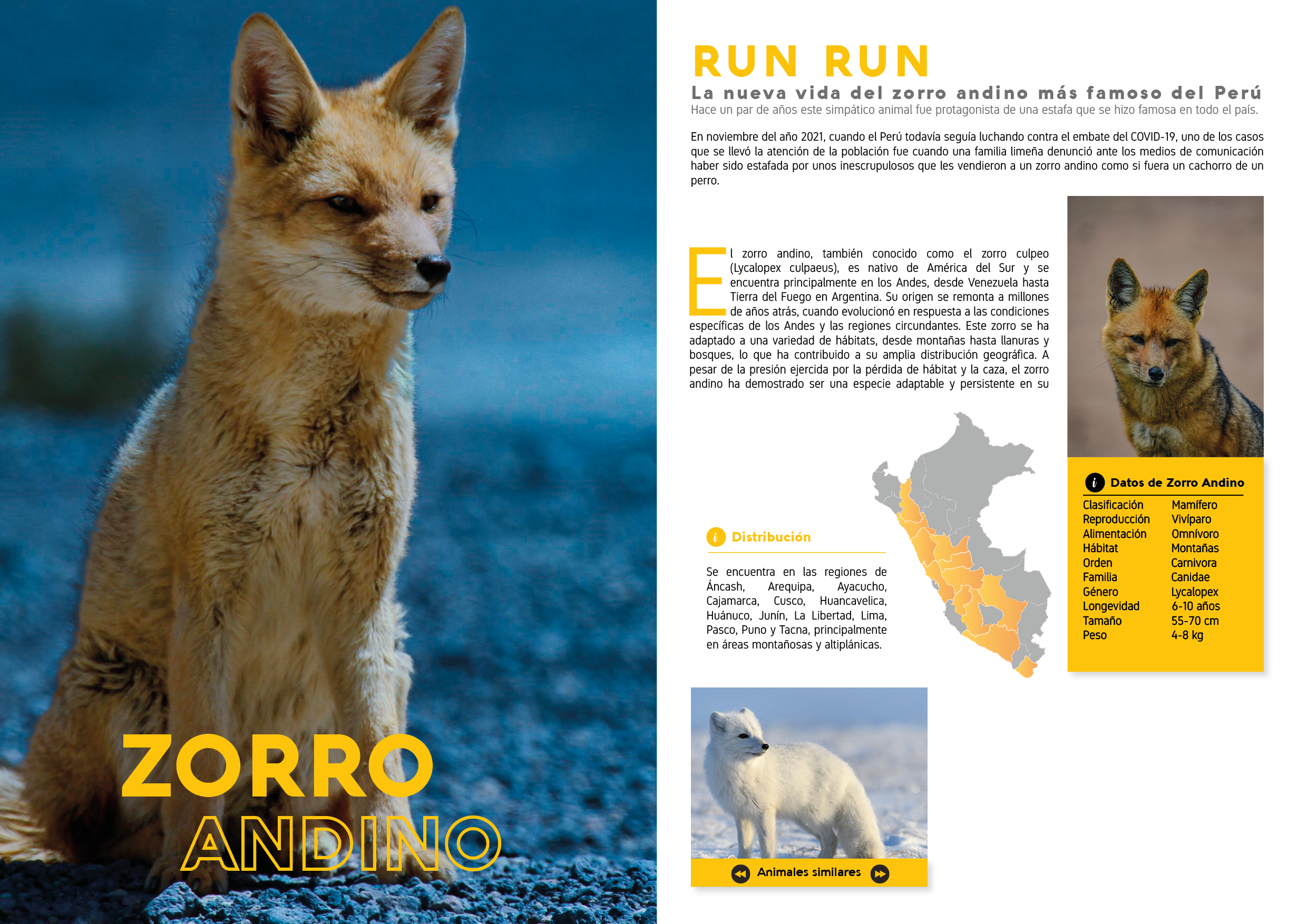 Proyecto Editorial Digital - Idat