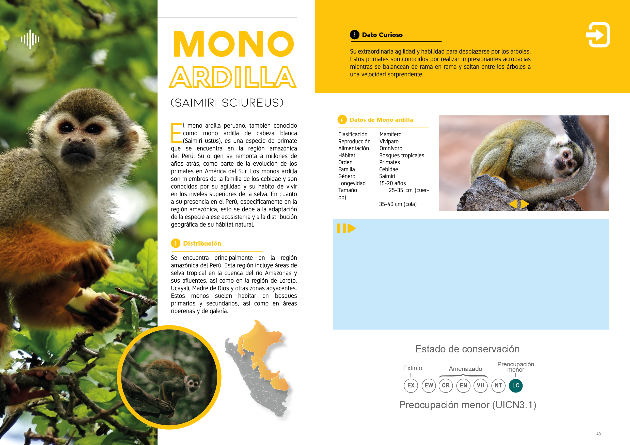 Proyecto Editorial Digital - Idat