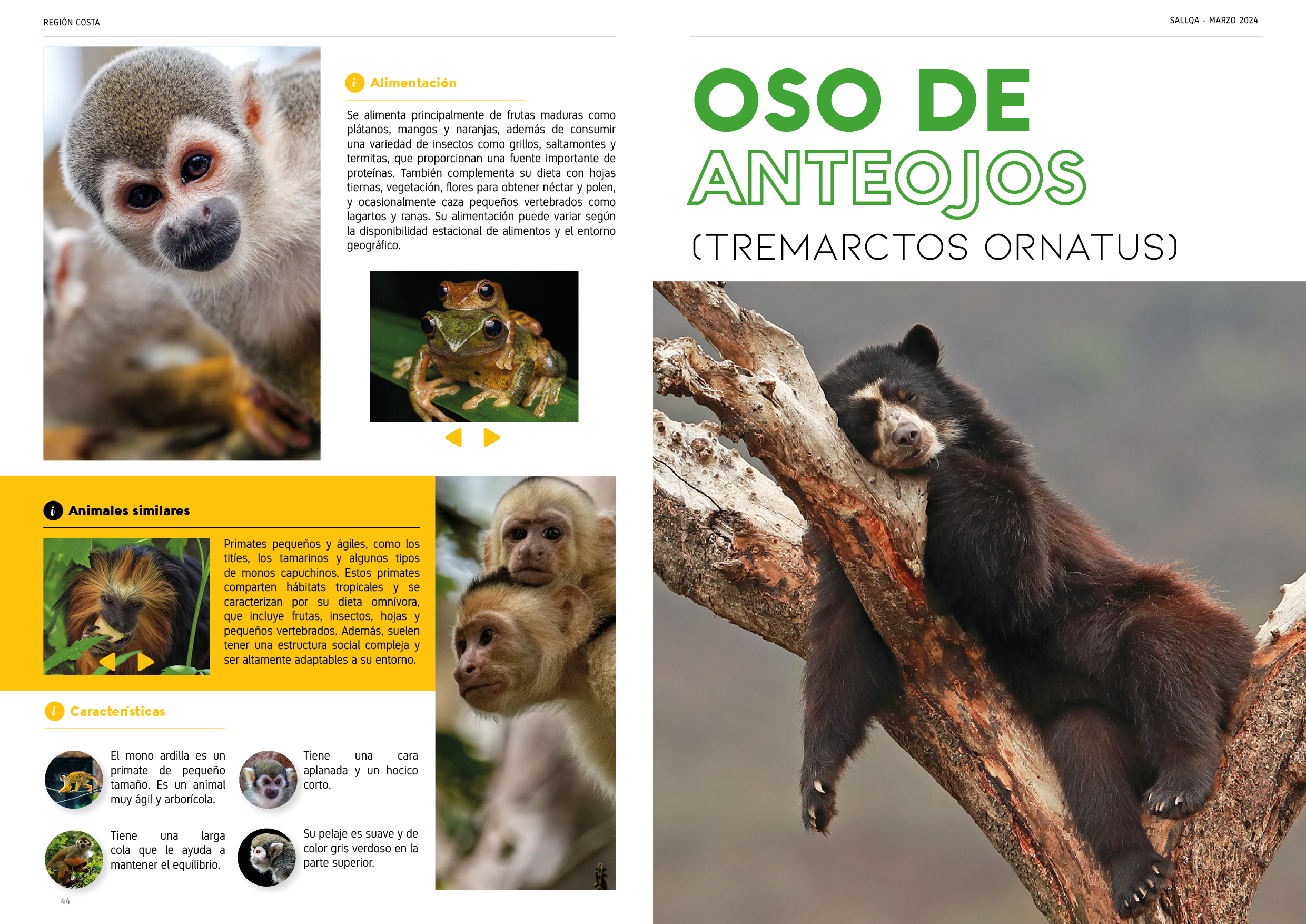 Proyecto Editorial Digital - Idat