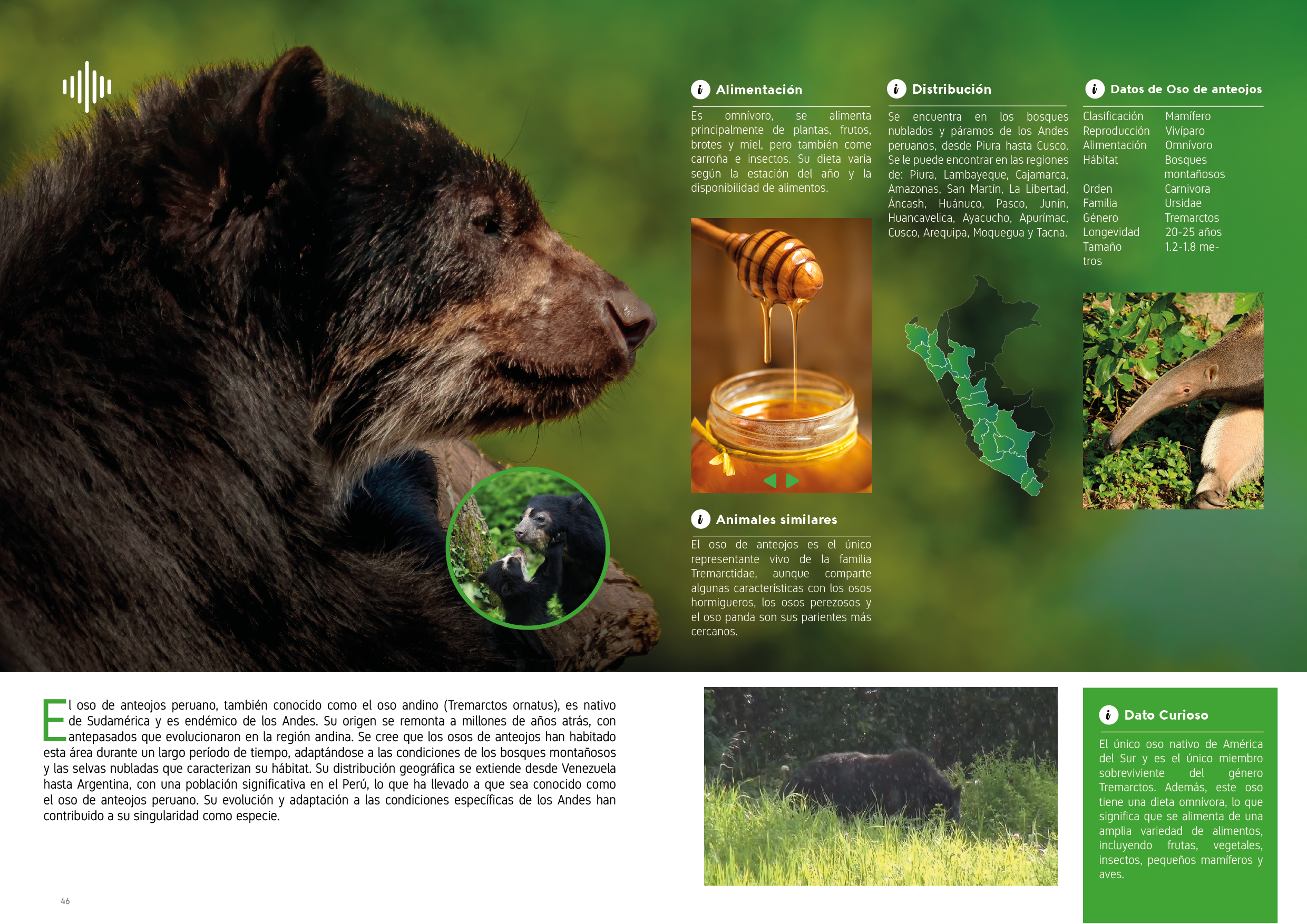 Proyecto Editorial Digital - Idat