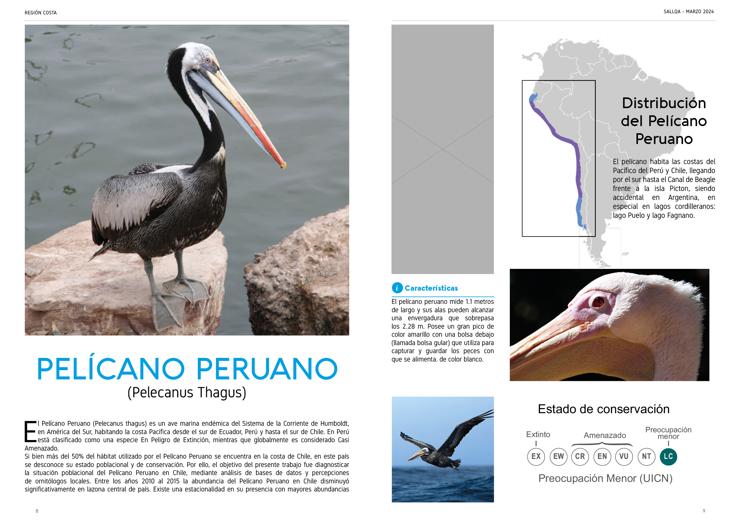 Proyecto Editorial Digital - Idat