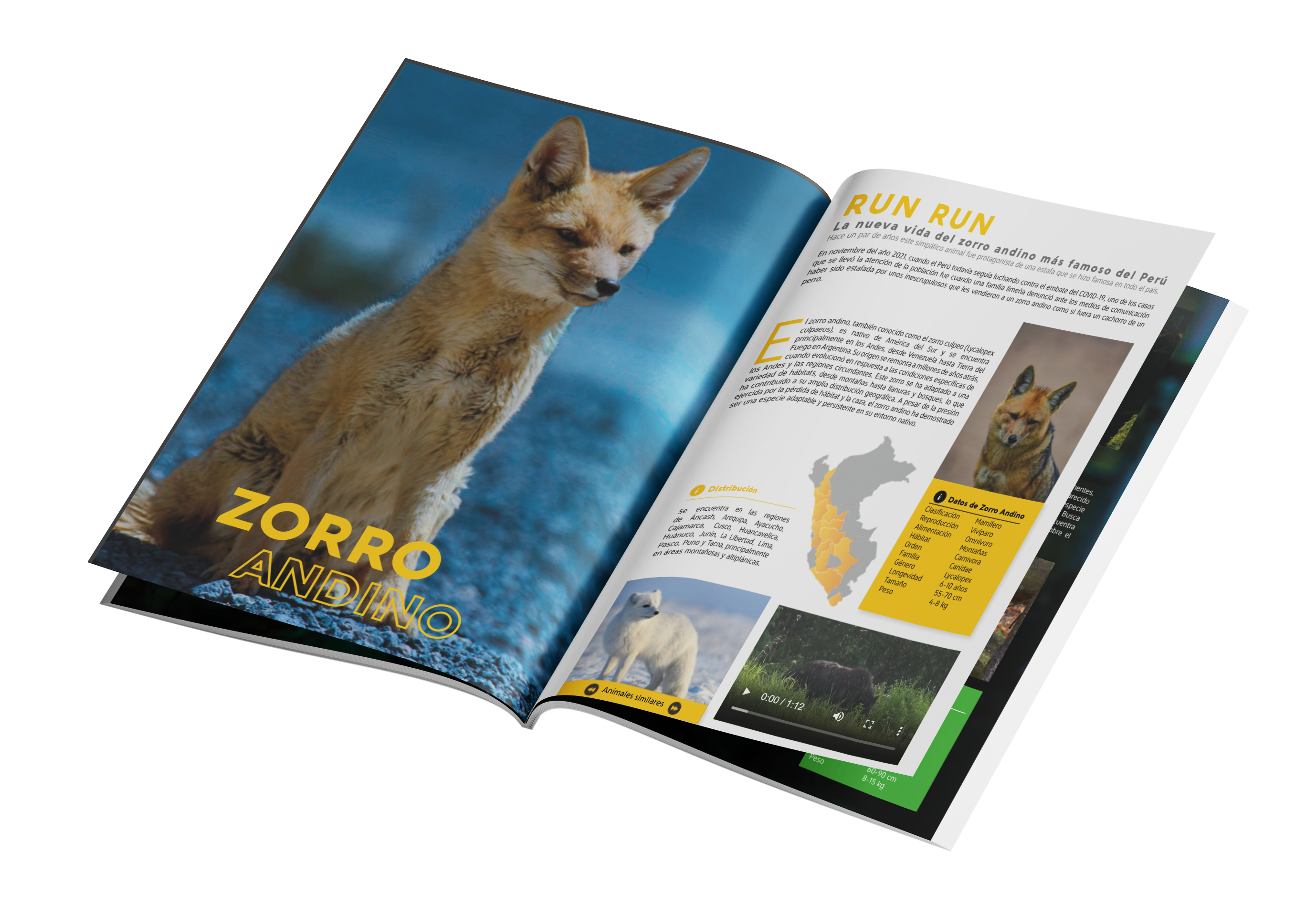 Proyecto Editorial Digital - Idat