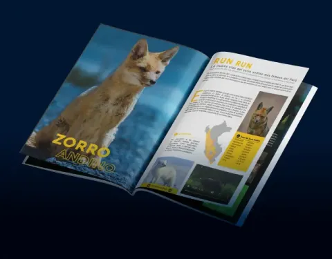 Proyecto Editorial Sallqa